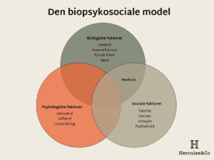 Den biopsykosociale model, Hercules og Co, Per Andersen, potensekspert